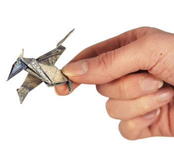 Origamis Dinosaures