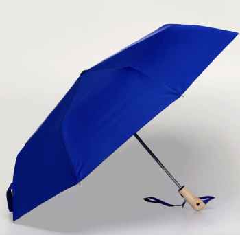 Parapluie Canard Bleu vif