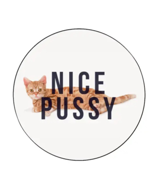 Sticker Nice pussy