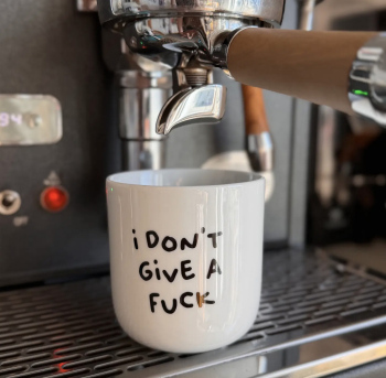 Mug I don't give a fuck