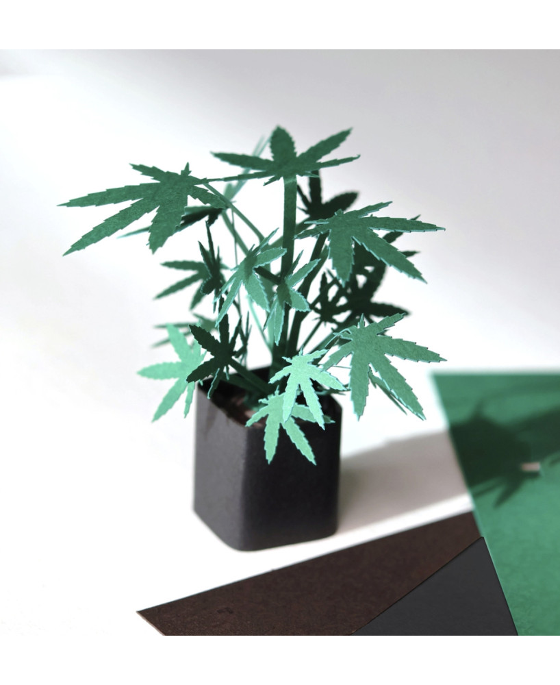 Origamis Cannabis
