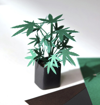 Origamis Cannabis