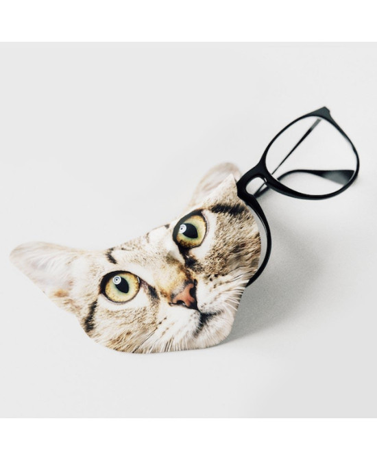 Chiffon lunettes chat