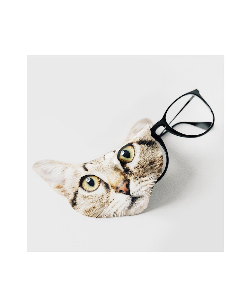 Chiffon lunettes chat