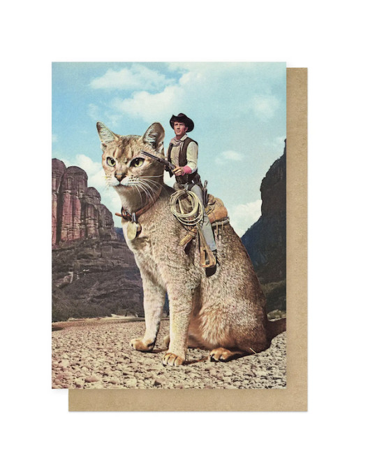 Carte Chat western