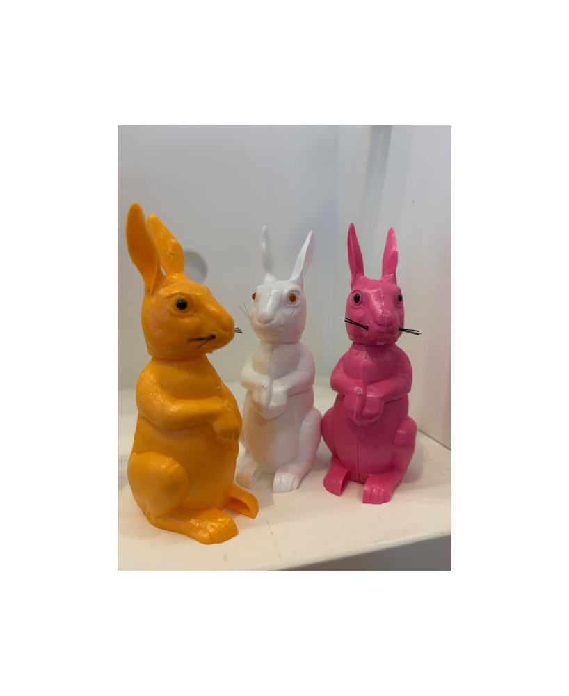 Lapin dodelinant