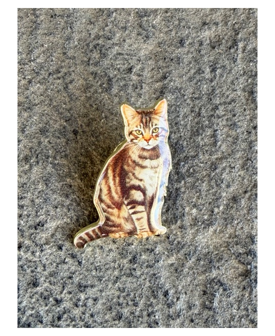 Pins Chat tigré