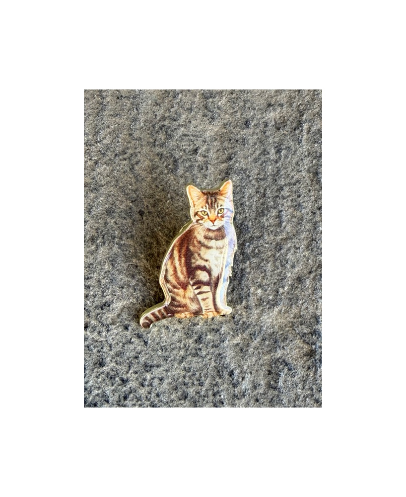 Pins Chat tigré