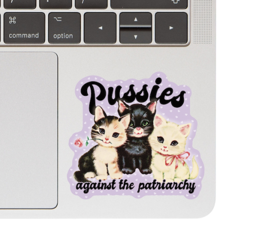 Sticker Pussies against the patriarchy