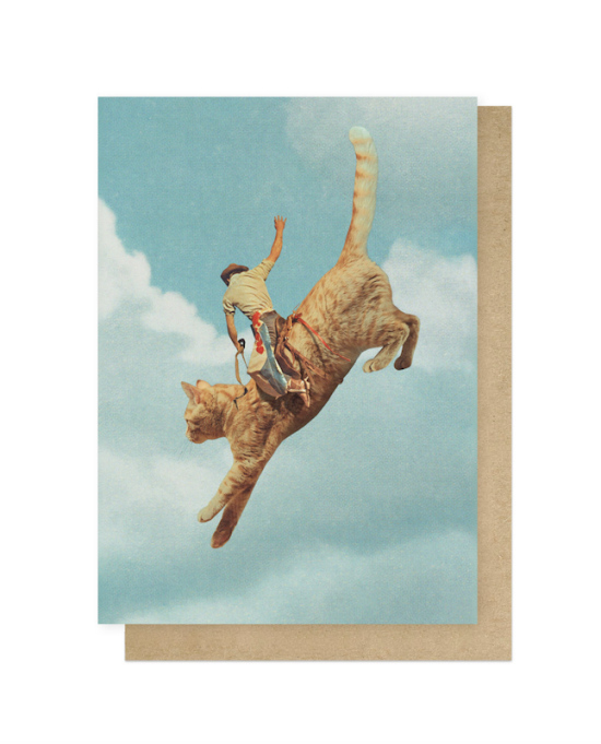 Carte Rodeo cat