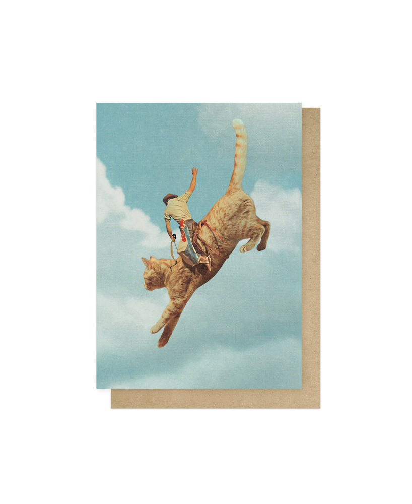 Carte Rodeo cat