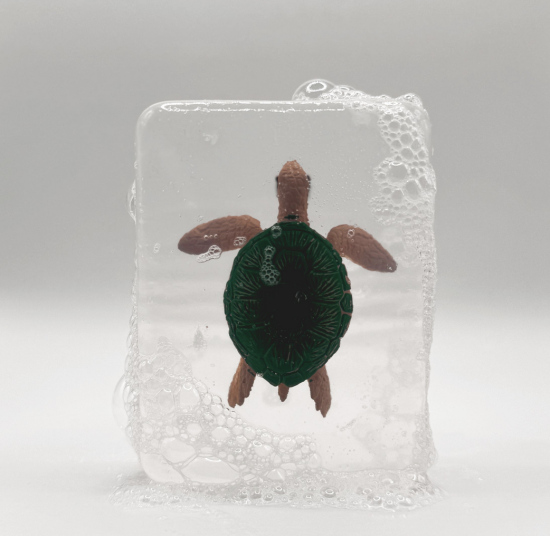 Savon Tortue