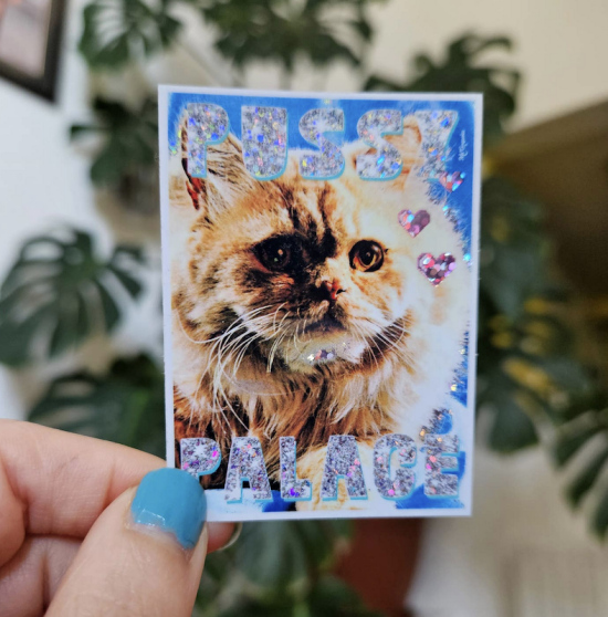 Sticker Pussy Palace