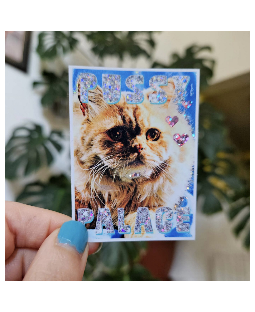 Sticker Pussy Palace
