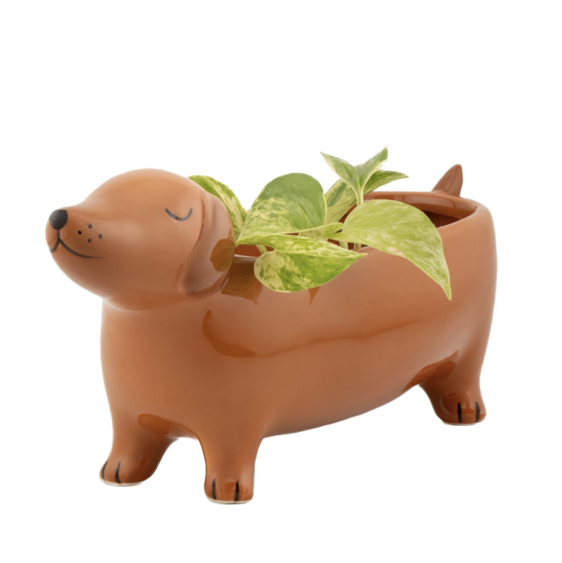 Cache-pot Teckel