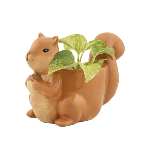 Cache-pot Ecureuil