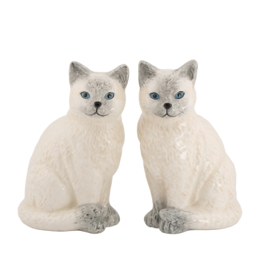 Sel et poivre Chats siamois