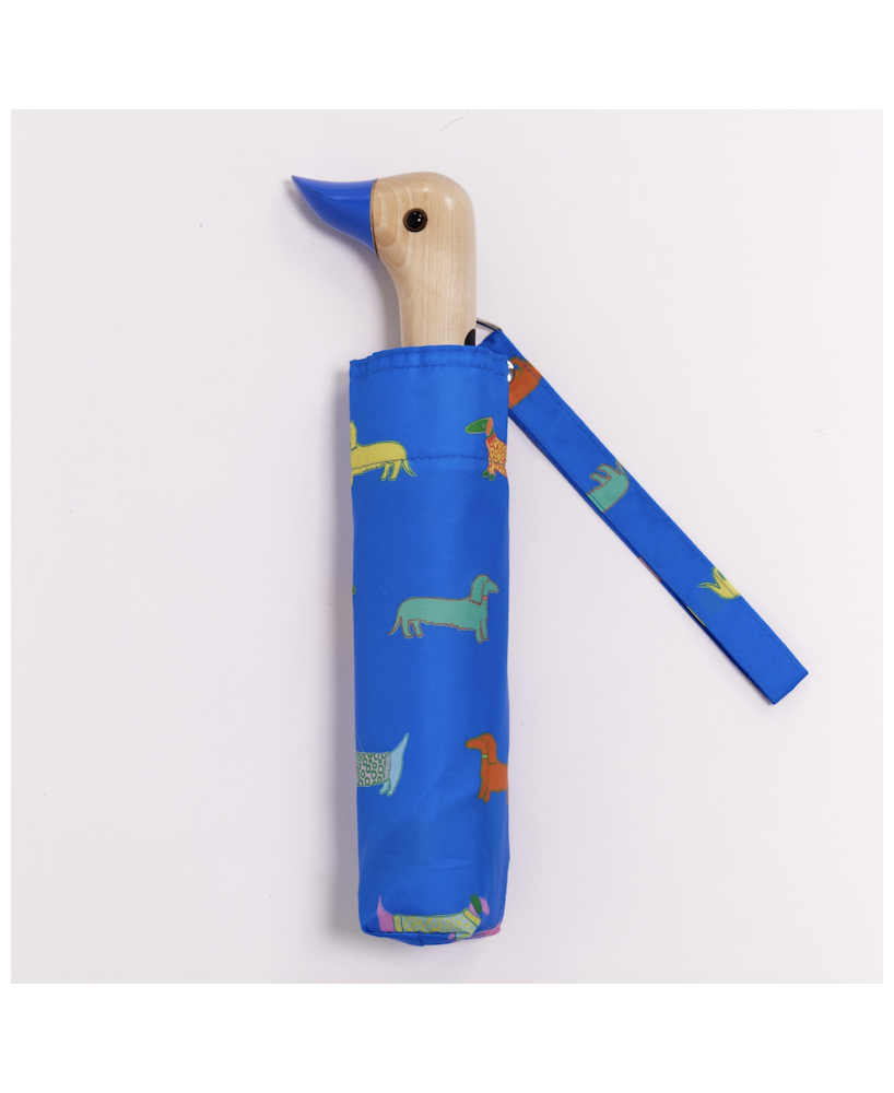 Parapluie canard bleu teckels
