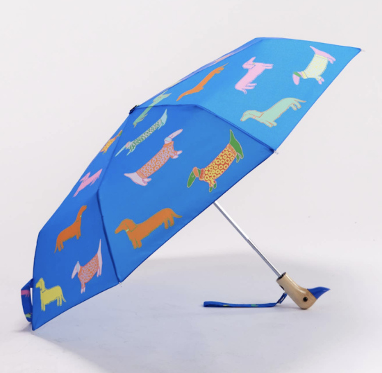 Parapluie canard bleu teckels