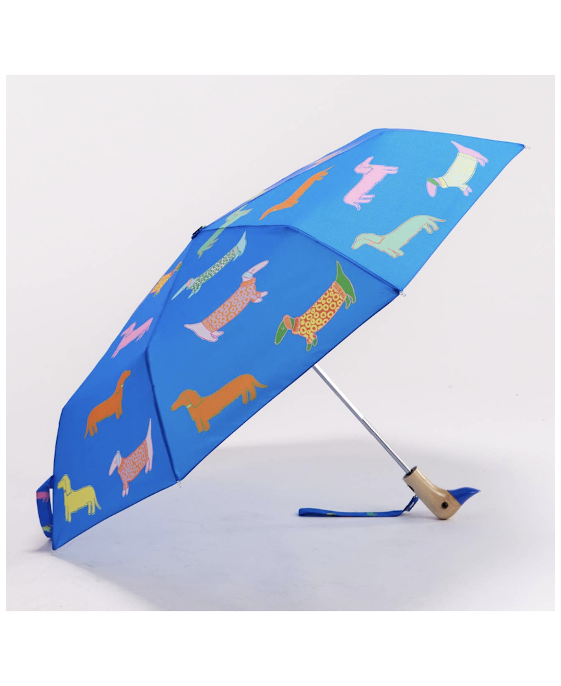 Parapluie canard bleu teckels