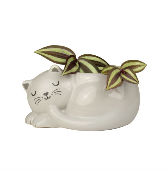 Cache-pot Chat blanc