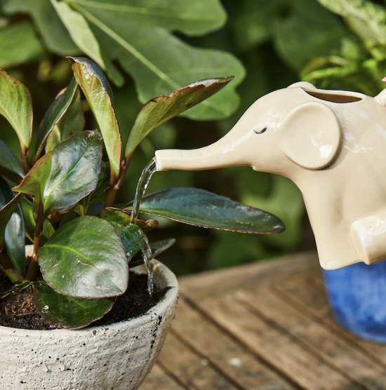 Arrosoir Eléphant