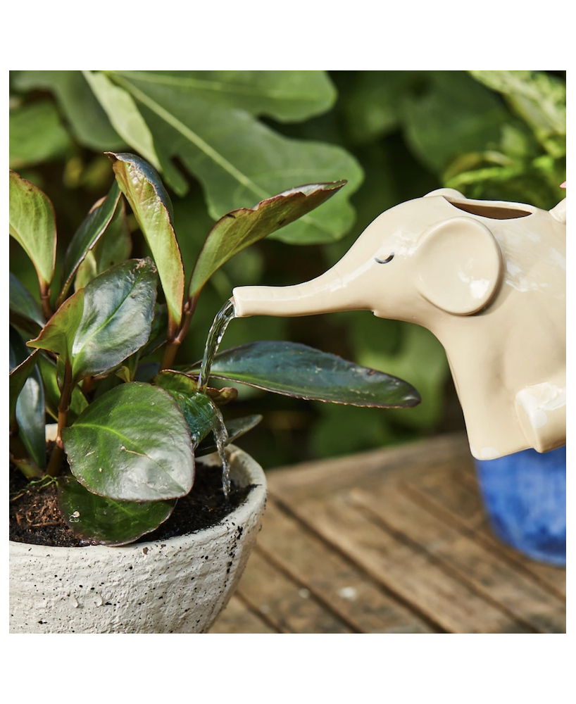 Arrosoir Eléphant