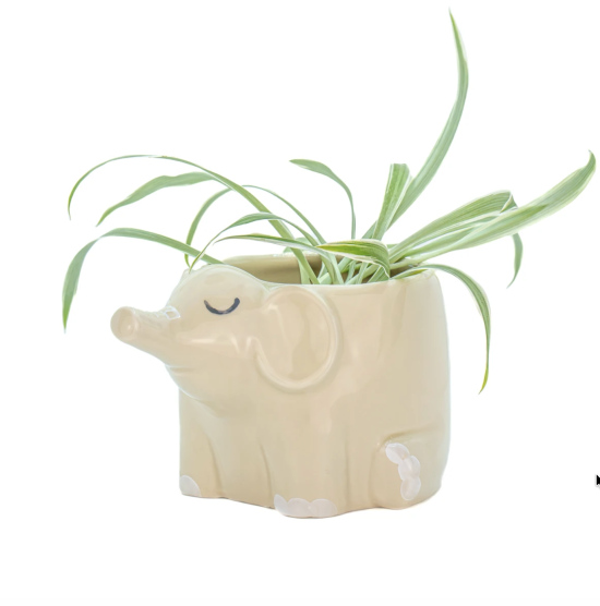 Cache-pot Eléphant