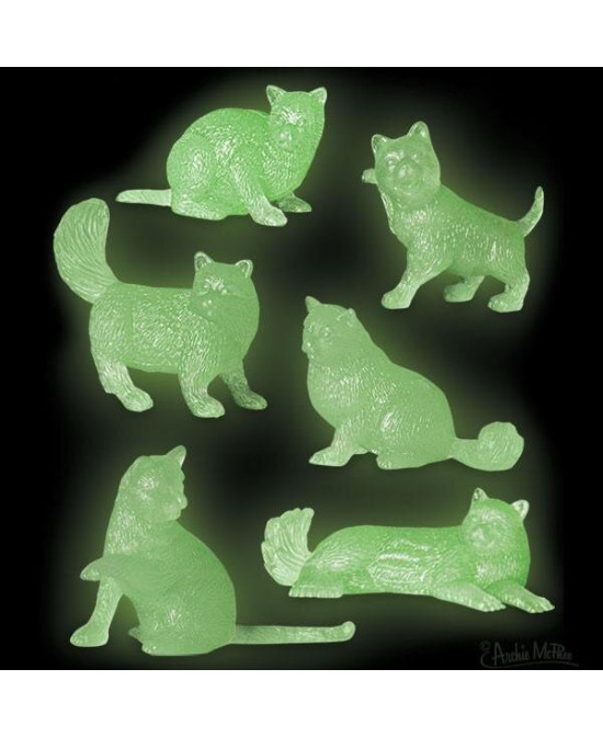 Touts petits chats phosphorescents