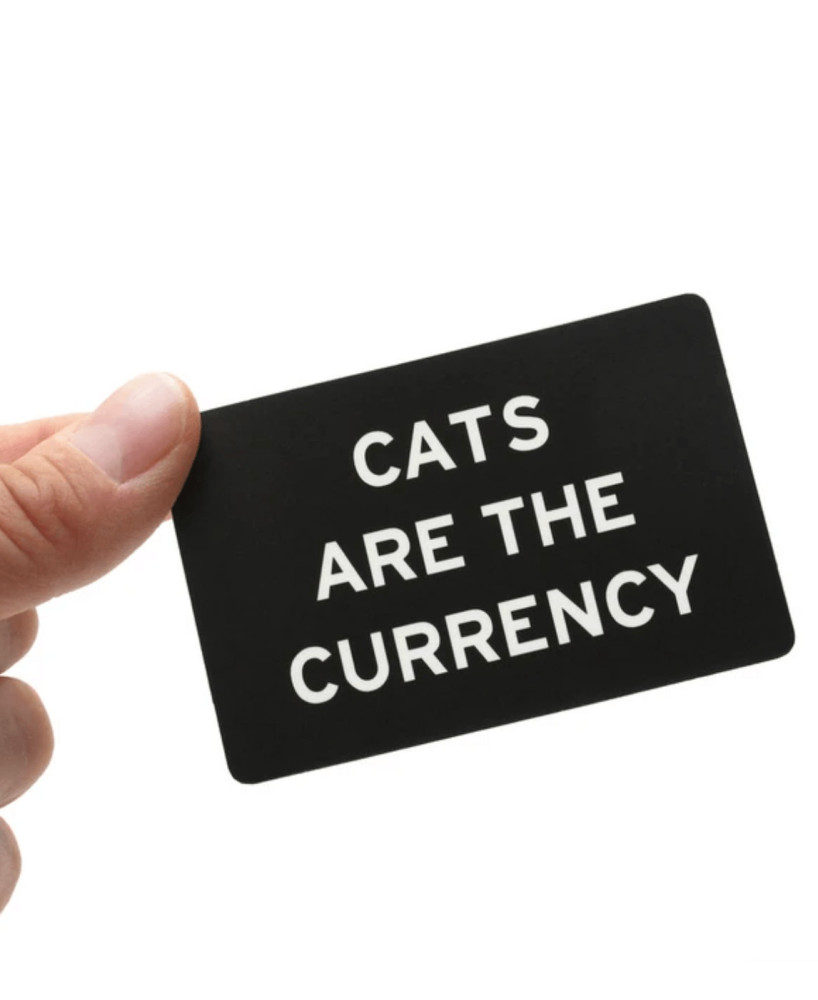 Patch thermocollant Cats are the currency
