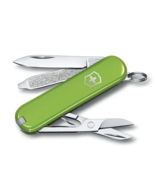 Couteau de poche Victorinox Classic vert avocat