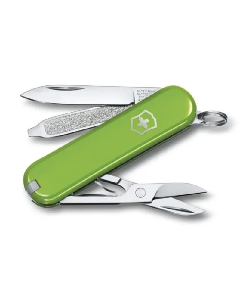 Couteau de poche Victorinox Classic vert avocat