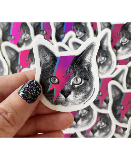 Sticker Chat Eclair holographique