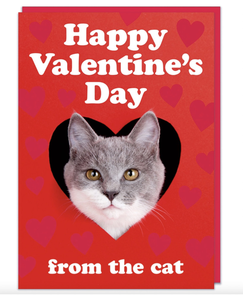 Carte Happy Valentine's day from the cat