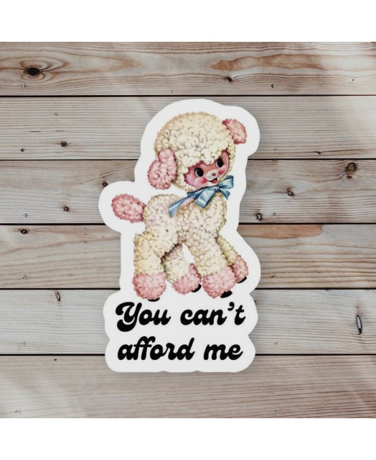 Sticker You can't afford me