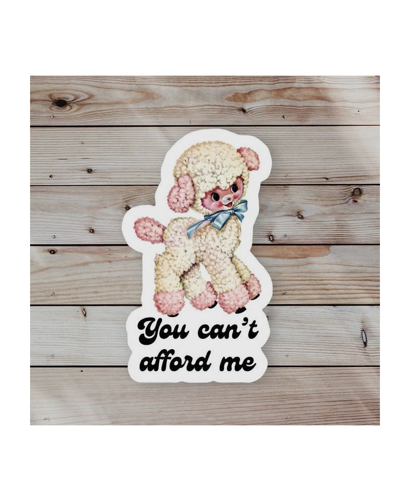 Sticker You can't afford me