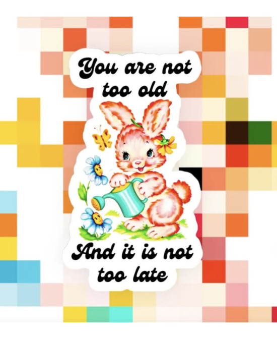 Sticker You are not too old