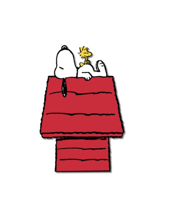 Pins Snoopy niche