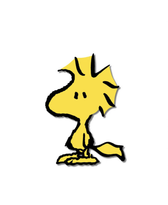 Pins Woodstock