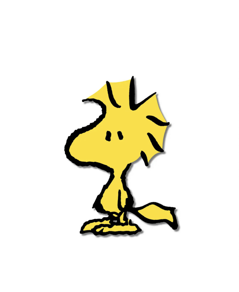 Pins Woodstock