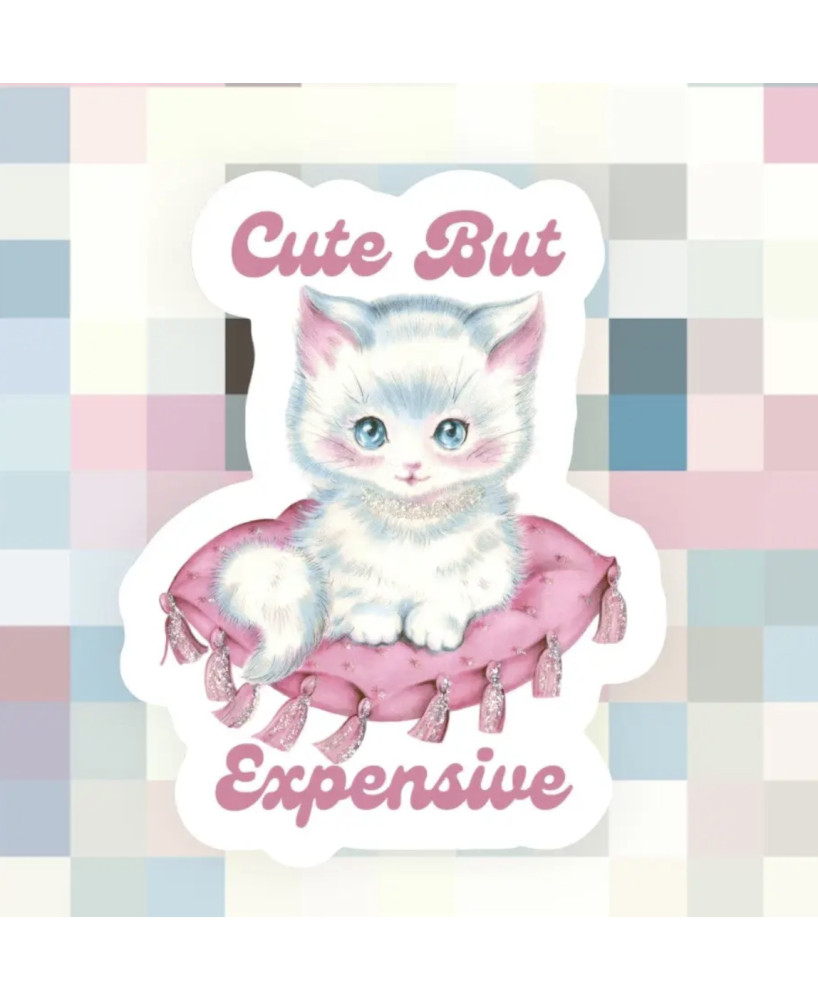 Sticker Cute but expensive cat