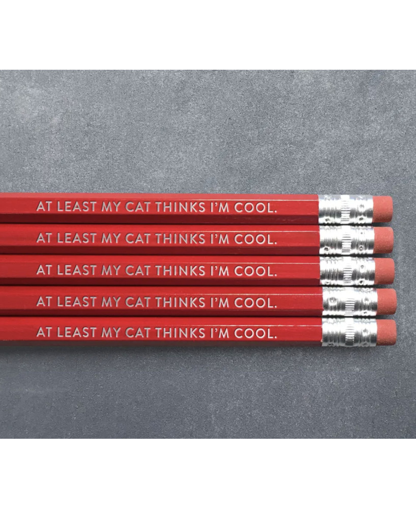 Set crayons At least my cat thinks I'm cool