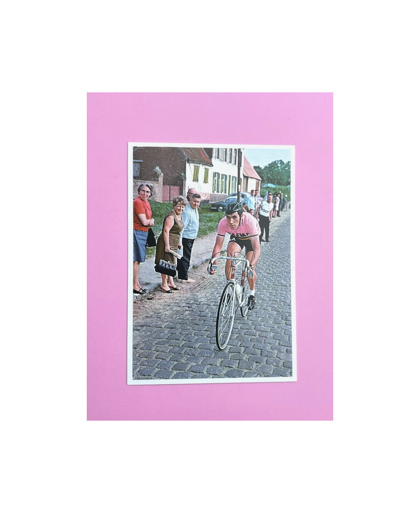 Carte postale Eddy Merckx maillot rose