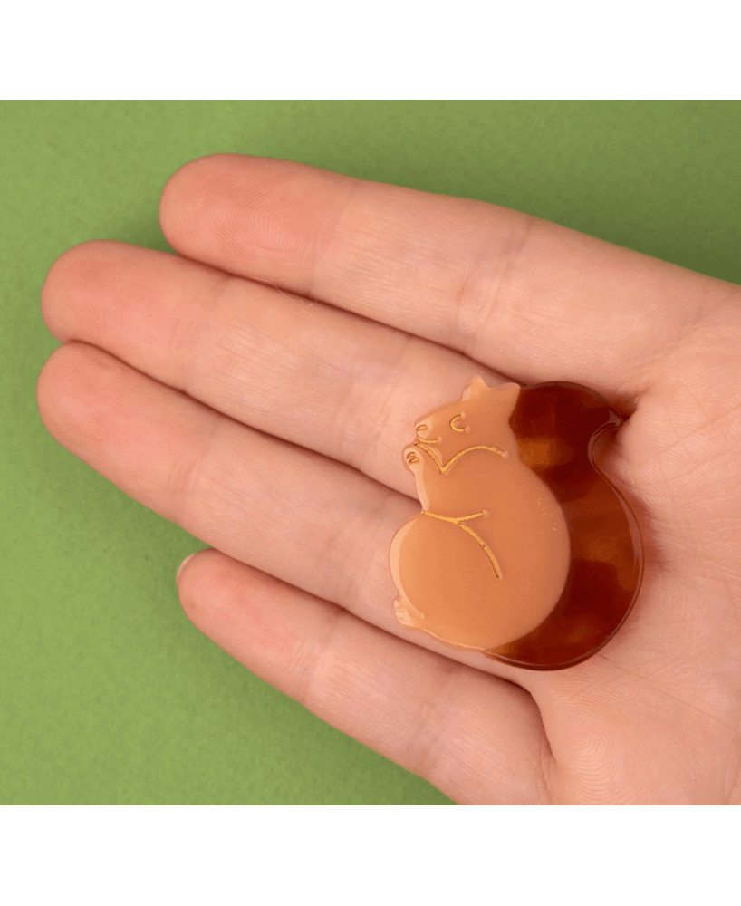 Barrette Ecureuil Coucou Suzette