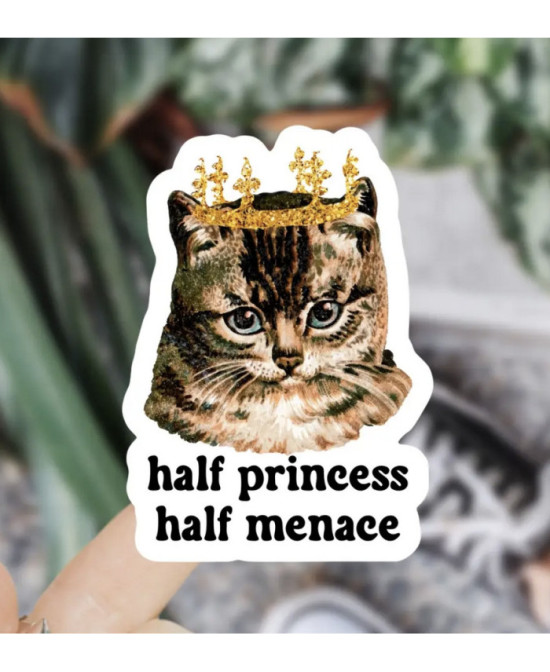 Sticker Half princess half menace