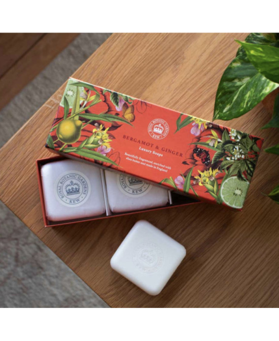 Coffret 3 savons Kew Gardens Bergamot et Ginger