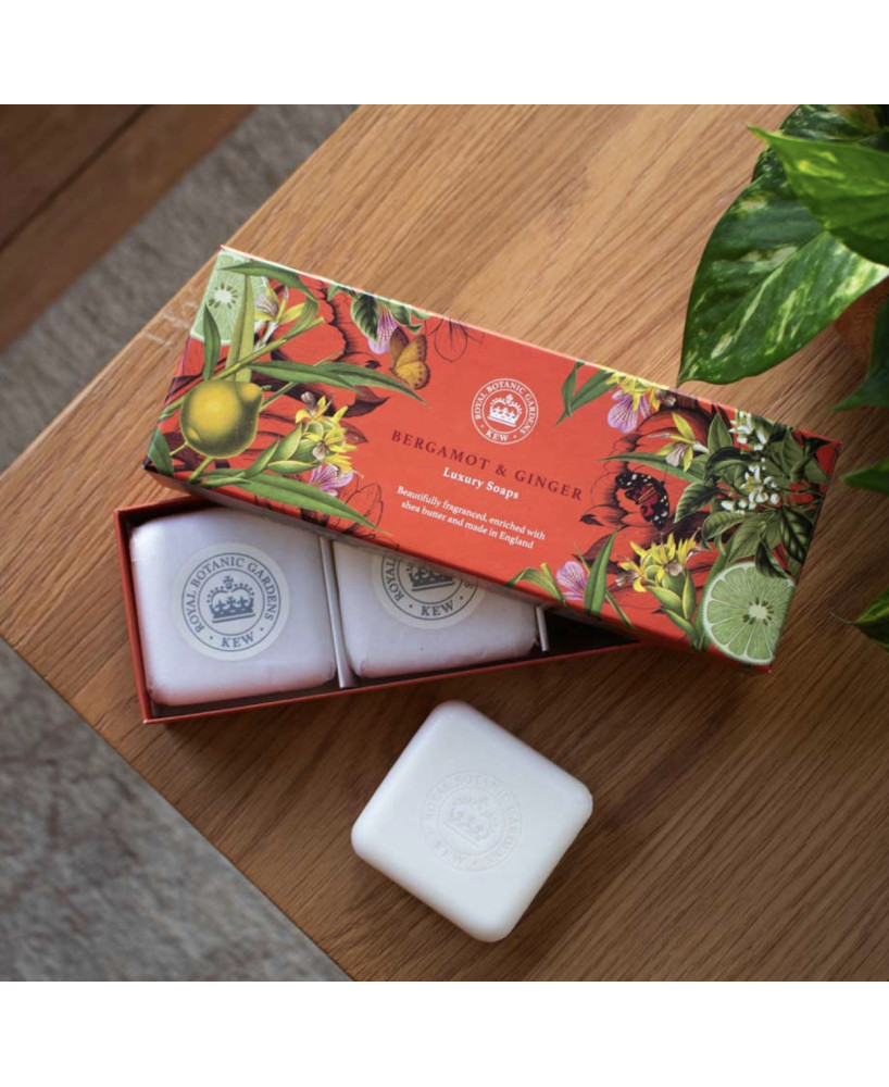Coffret 3 savons Kew Gardens Bergamot et Ginger