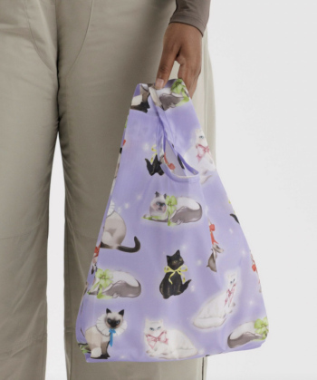 Animaux 🐶🐰🐱🐨